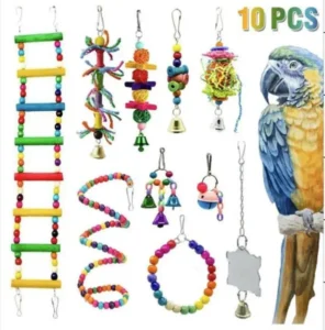 10 Piece Parrot Nibbling Toy Bird Toy Set