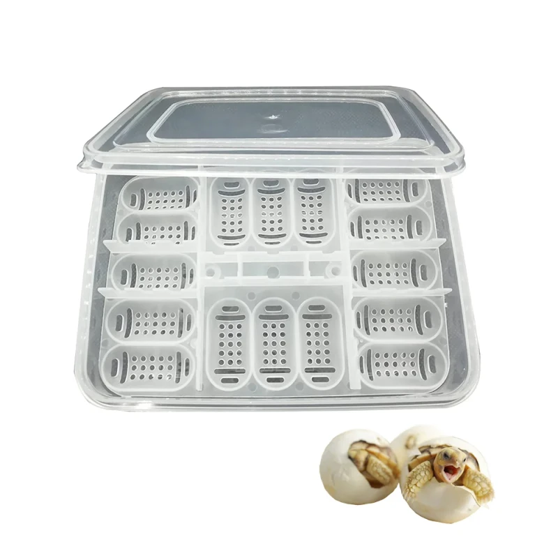 12 16 Egg Reptile Incubator Mini Small Plastic Hatch Box with Hatching Eggs Trays for Breeding Amphibian Supplies