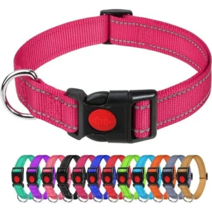 12 Color Solid Small Dog Adjustable Reflective Nylon Pet Collar with D Rings