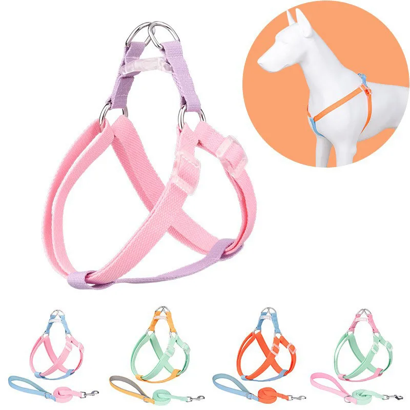 2 Pieces Polyester Dog Harness Leash Fashion Double D Ring Dog Collar with Walking Accessories