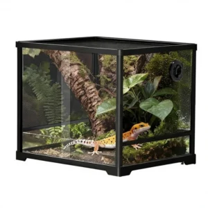 2 in 1 Square Amphibian Reptile Enclosure Eco Friendly Ultra White Glass Escape Proof Latch Rainforest Habitat for Arboreal