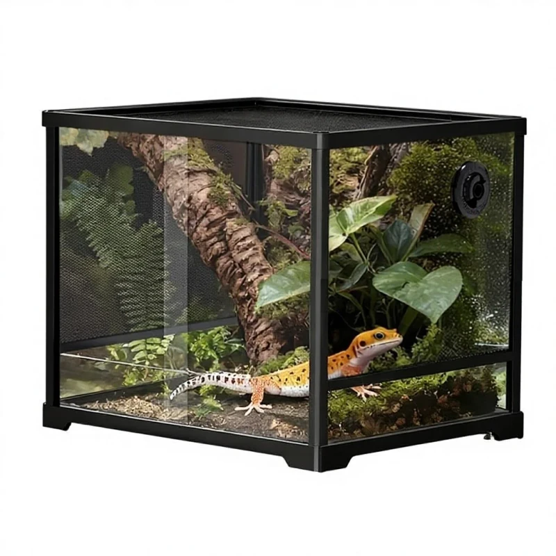 2 in 1 Square Amphibian Reptile Enclosure Eco Friendly Ultra White Glass Escape Proof Latch Rainforest Habitat for Arboreal