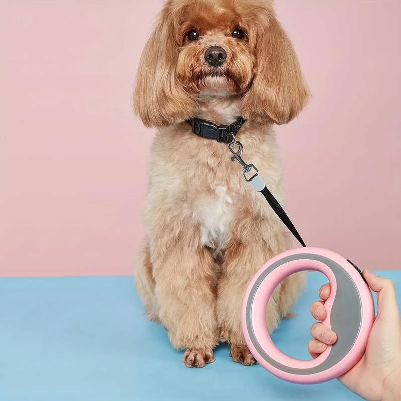 2.5M Retractable Dog Leash Pet Walking Lead for Small Medium Dogs