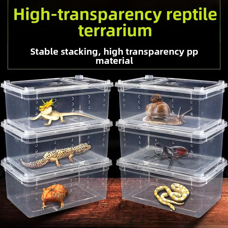 20*20*25cm Acrylic Disassemblable Plastic Reptile Terrarium Praying Mantis Feeder Case Vivarium for Spider Lizard Gecko Aquarium