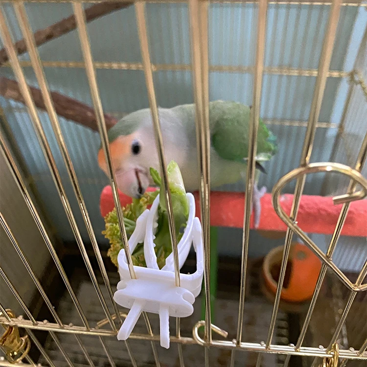 200pcs Bag Bird Cage Accessories Food Holder Clip for Parrot Pet Products