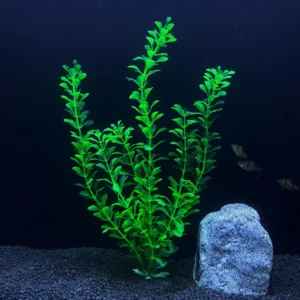 30cm Tall Artificial Aquatic Plants Grass Style Plastic Aquarium Aquascape Fish Tank Decoration Aquarium Accessories
