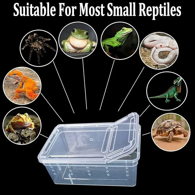 32*22*15cm Transparent Large Size Plastic Reptile Breeding Box Snake Cage Box Gecko Tank