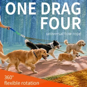 4 Piece Durable Nylon & Alloy Leash Set for Dogs and Cats Easy Handle Towing Solution