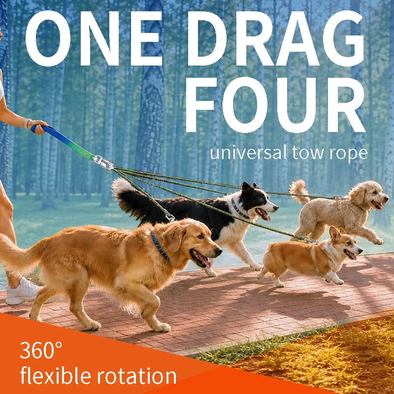 4 Piece Durable Nylon & Alloy Leash Set for Dogs and Cats Easy Handle Towing Solution