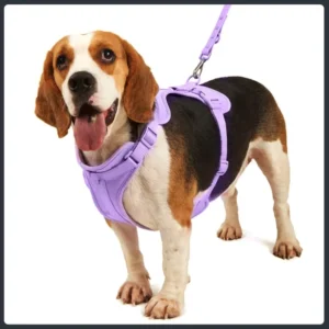 4 in 1 PVC Dog Outdoor Harness Set Anti bite Waterproof Washable Easy Storage Impact resistant High Tensile Strength