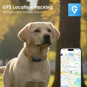 4G BDS Mini Global GPS Pet Tracker 7 Day Standby Anti Loss with Electronic Fence Route History Tracking