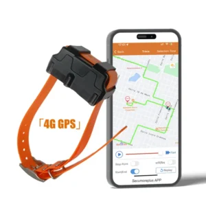 4G GPS Collar Pet IP67 Waterproof Dog Hunting Tracking Device with Remote Voice Record