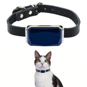 4G GPS Tracker Pets Dogs Elderly Kids IP67 Waterproof Plastic Real-time Tracking Device Mini Smart Collar Locator G12