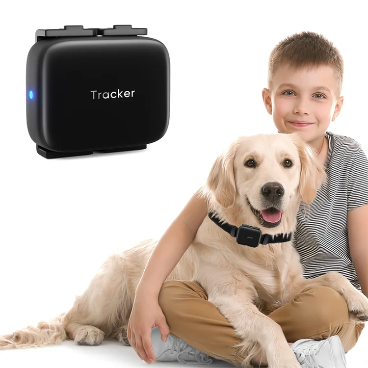 4G Pet Locator GPS Tracker WD02 Dog Anti Loss Cat Positioning Device Mobile Phone Remote Positioning and Tracking Waterproof