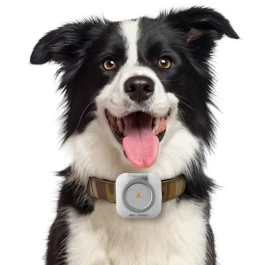 4G Pet Smart Tracking Device Cat Dog App Real Time Activity Monitor Anti-Lost GPS Tracker Collar With Voice Call
