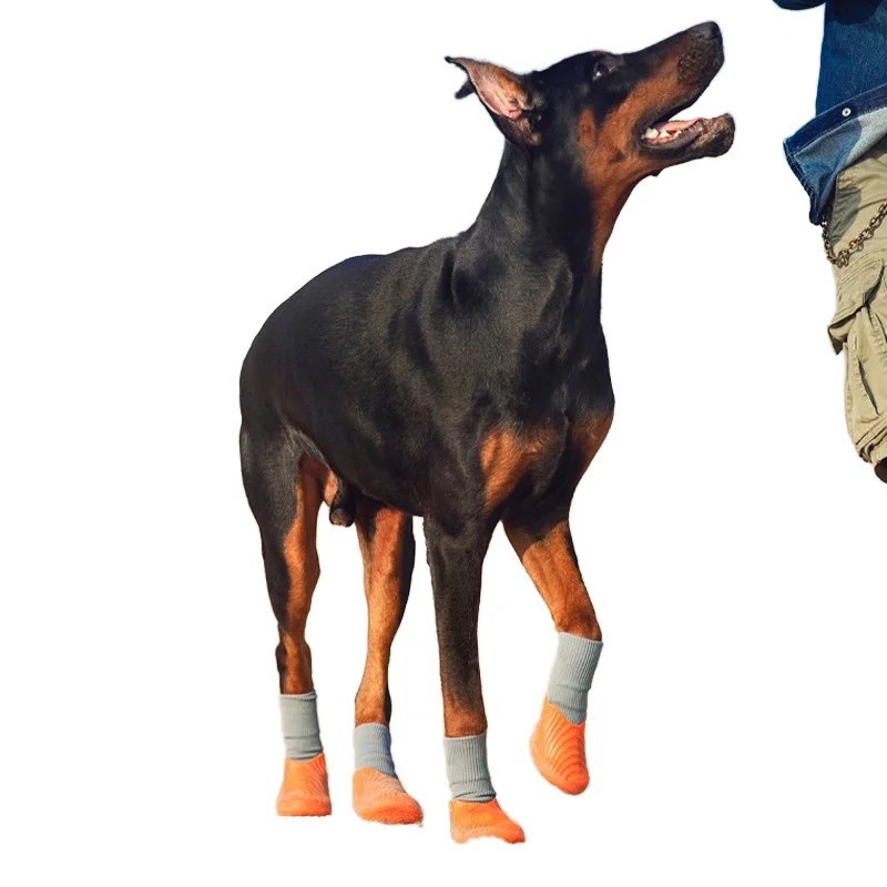 4PCS Anti-Slip Pet Shoes for Small & Large Dogs Waterproof Paw Protector Socks Teddy Golden Retriever Labrador Foot Cover