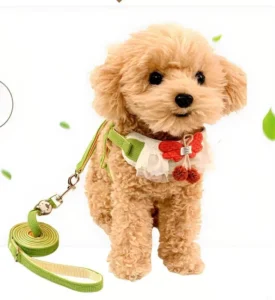 5 Colors Dog Leash Vest Style Pet Chest Harness for Dog Walking Leash