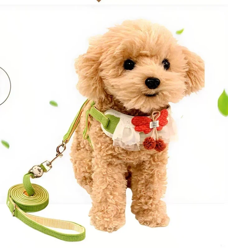 5 Colors Dog Leash Vest Style Pet Chest Harness for Dog Walking Leash