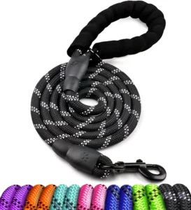 5 FT Strong Dog Leash with Comfortable Padded Handle and Highly Reflective Threads