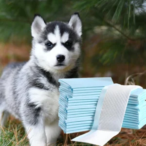 5 Layer Leak Proof Quick Dry Cotton Pet Diaper Puppy and Dog Pee Pads for Potty Training Regular Scented Dog Diaper