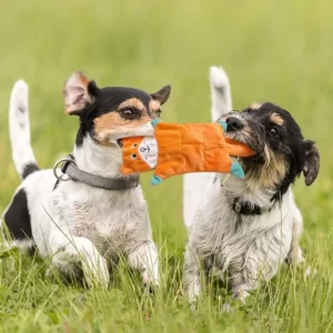5 Piece Durable Dog Chew Squeak Toy Set Pleated Plush Nylon Outdoor Use Small Medium Puppies Cute Holiday Toy Reduce Boredom