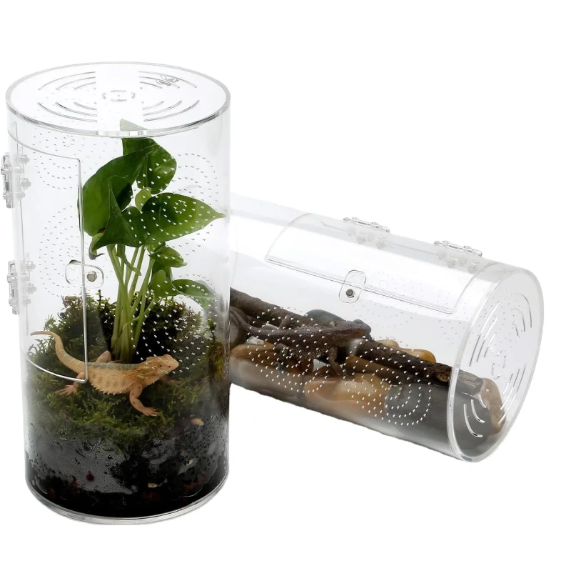 6*6*12 Inch Custom Jumping Spider Terrarium Factory Built Reptile Breeding Box for Pets & Poles