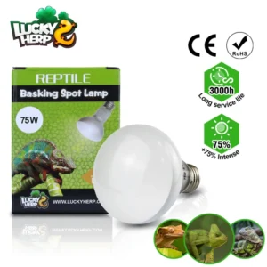 75W Reptile Basking Lights Normal Lamps Halogen Reptile Heat Lamp for Amphibians