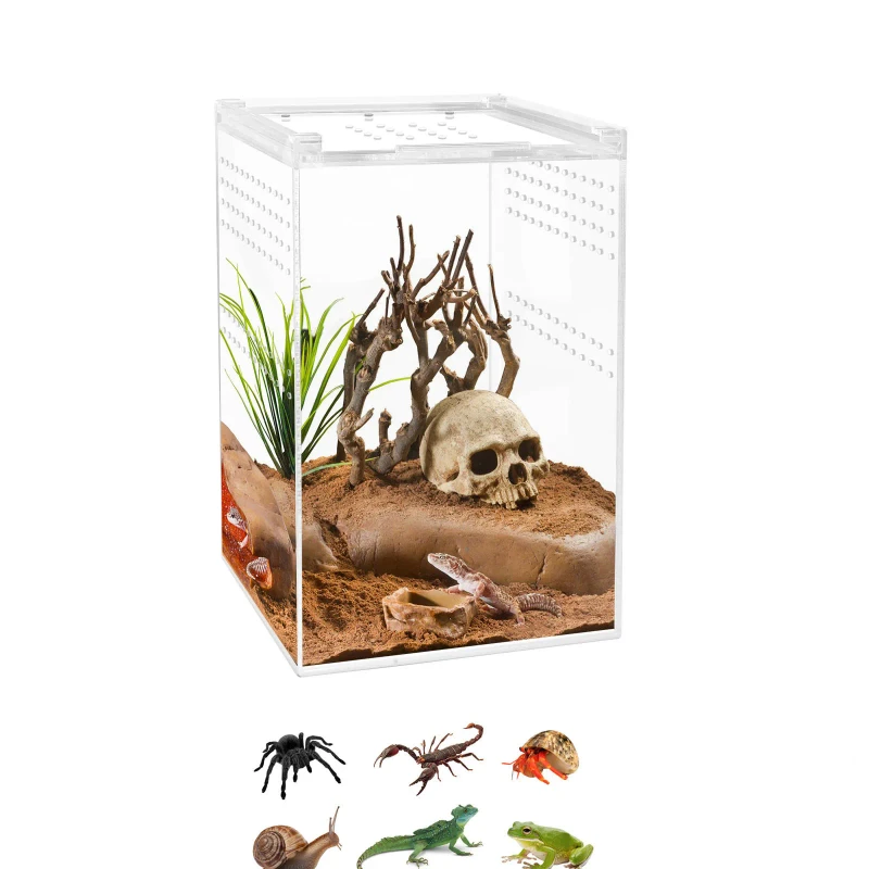 8*4*4 6*6*9 12*8*6 Inch Acrylic Enclosure Reptile Breeding Box Terrarium Cage for Insect Reptile