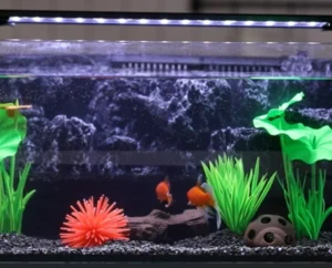 9W Led Aquarium Fish Tank Light Marine Aquarium Light Coral Reef White Blue Red Aquarium Lights for Live Plant Tank