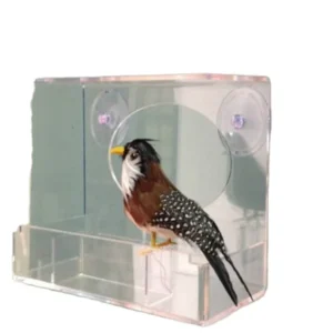 Acrylic Bird Feeding Supplies