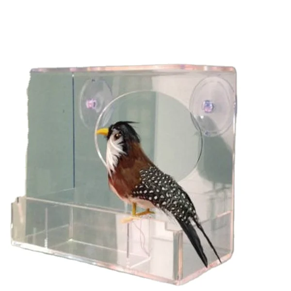 Acrylic Bird Feeding Supplies