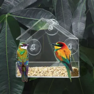 Acrylic Clear Feeder Bird Cage Canary Parrot Pet Drinker Custom Acrylic Special Supplies