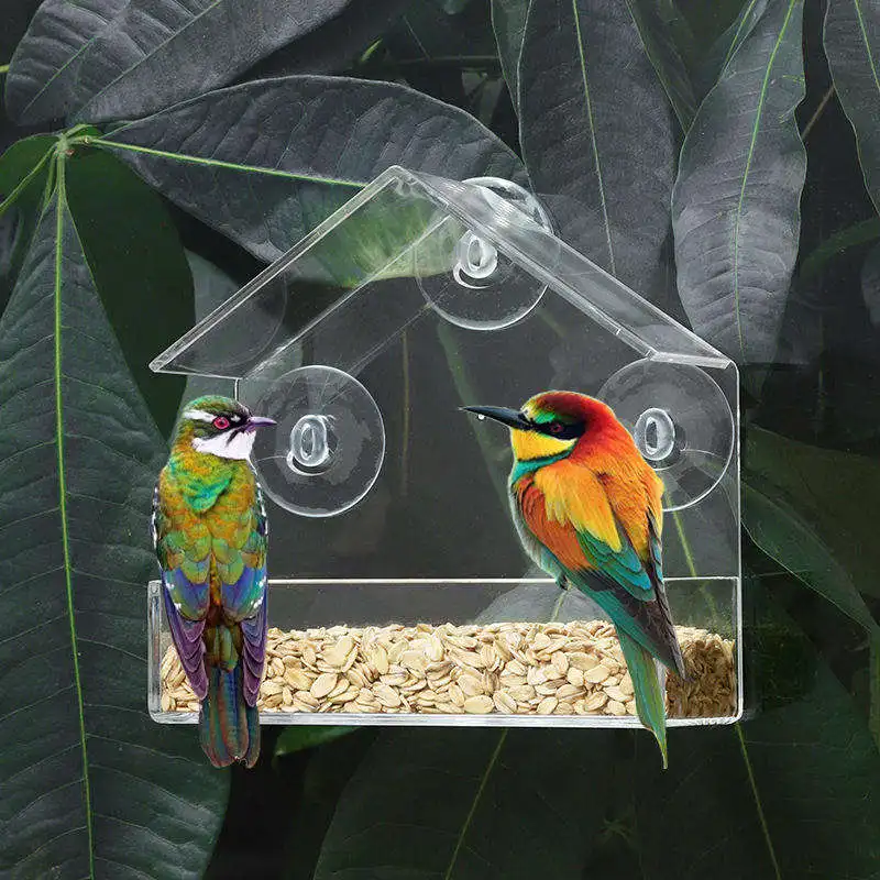 Acrylic Clear Feeder Bird Cage Canary Parrot Pet Drinker Custom Acrylic Special Supplies