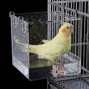 Acrylic Parrot Feeder No Mess Anti Spill Hanging Bird Seed Feeder for Budgies Parakeet