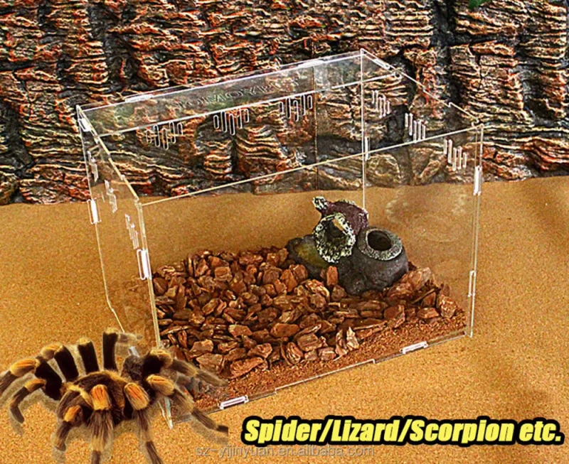 Acrylic Pet Reptile Cage Feeding Breeding Box Spider Insect Lizard Amphibian