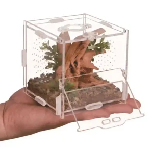Acrylic Rectangle Foldable Reptile Terrarium Small Sized for Tarantula Mantis and Jumping Spider