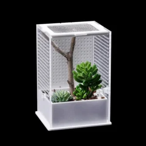 Acrylic Reptile Breeding Box Acrylic Insect Tank