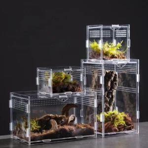 Acrylic Reptile Incubation Box Terrarium Cage for Frog Spider Insect Reptiles Accessories Display Cases