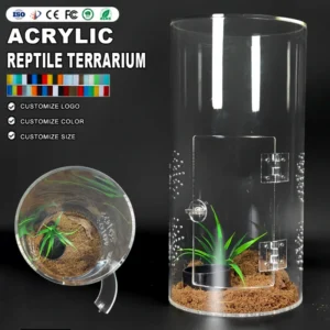 Acrylic Reptile Snail Spider Habitat Cage Mini Critter Keeper Invertebrate Insect Feeding Display Box