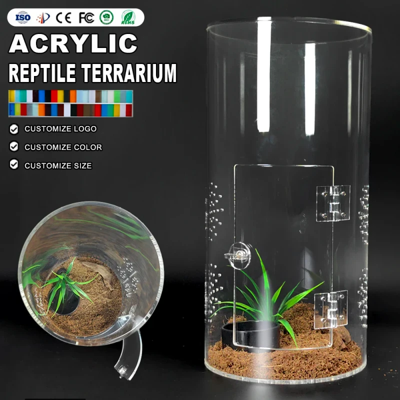 Acrylic Reptile Snail Spider Habitat Cage Mini Critter Keeper Invertebrate Insect Feeding Display Box