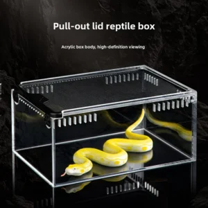 Acrylic Reptile Terrarium Bearded Dragon Lizard Arboreal Horned Frog Spider Snake Eco Friendly Breeding Box Fish Tank