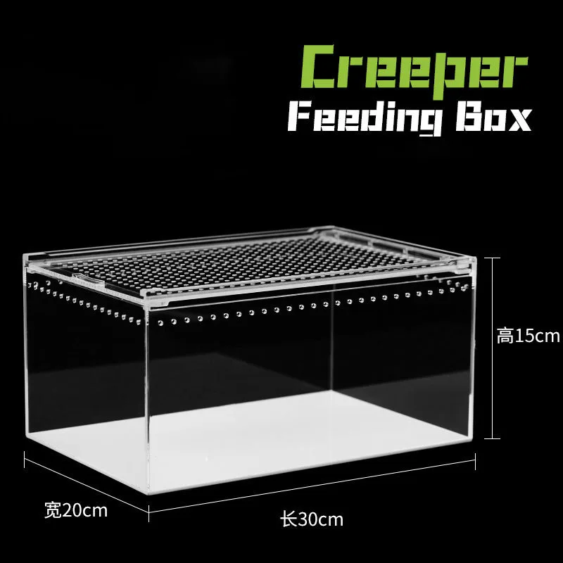 Acrylic Reptile Terrarium for Gecko Lizard Snake Arboreal Frog Turtle Eco Desert Amphibious Habitat Tank for Setup