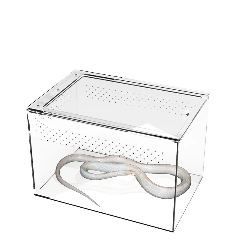 Acrylic Terrarium Reptile Cage Acrylic Reptile Cage Feeding Box Turtle Tank Climbing Box for Lizard