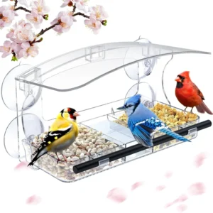 Acrylic Window Bird Feeder with Strong Suction Cups Transparent for Close Bird Watching for Multiple Wild Birds