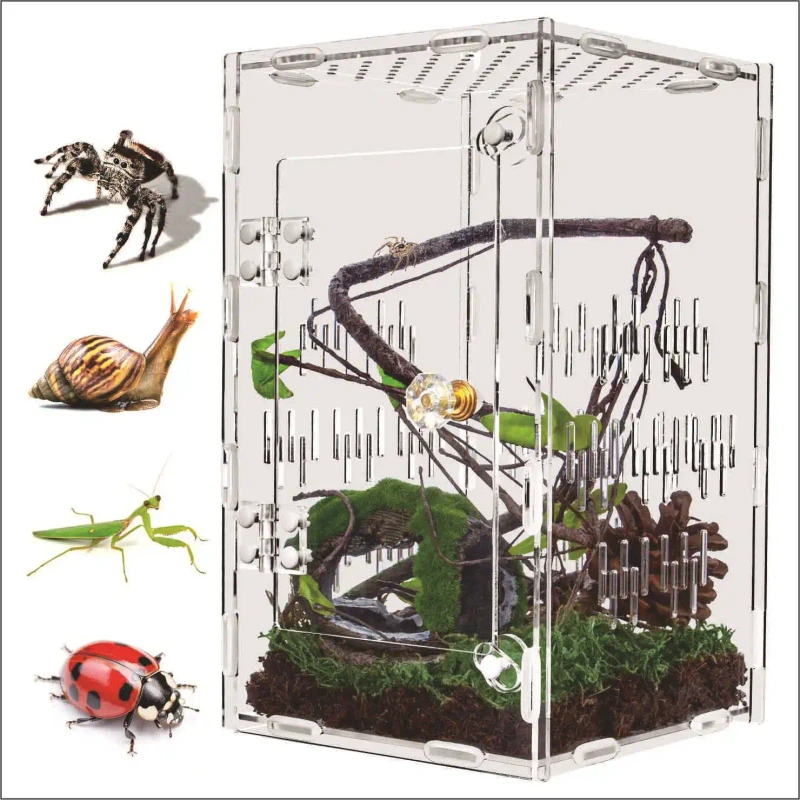 Acrylic transparent reptile box for insects tarantulas snakes lizards hermit crabs and other insects and reptiles