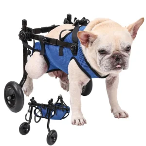 Adjustable 2-Wheel Dog Cart Mobility Wheelchair for Training & Behavior for Handicapped & Disabled Pets