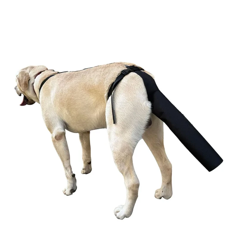Adjustable Anti-Licking Biting Protective Gear for Pet Dogs Tail Cover Hair Loss Grooming Pet Training Supplies