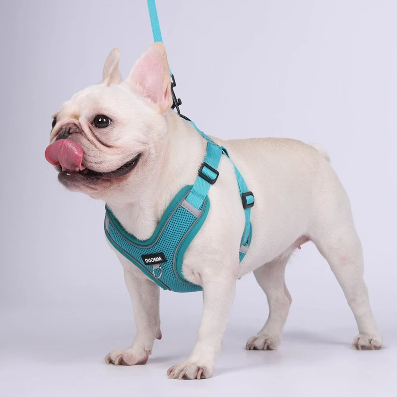 Adjustable Classic Modern Pet Harness Collar Leash Set Personalized Custom Dog Gear for Dogs Cats
