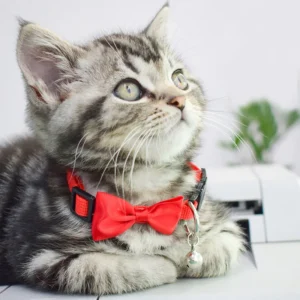 Adjustable Cute Bowknot Pet Kitten Cat and Small Dogs Collar With Bell