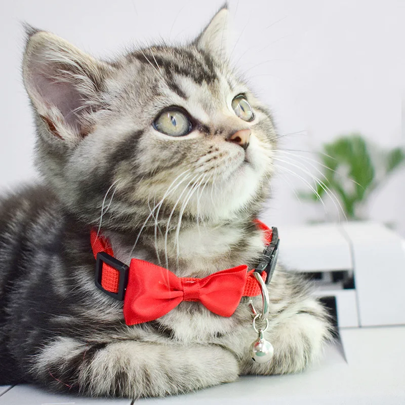 Adjustable Cute Bowknot Pet Kitten Cat and Small Dogs Collar With Bell